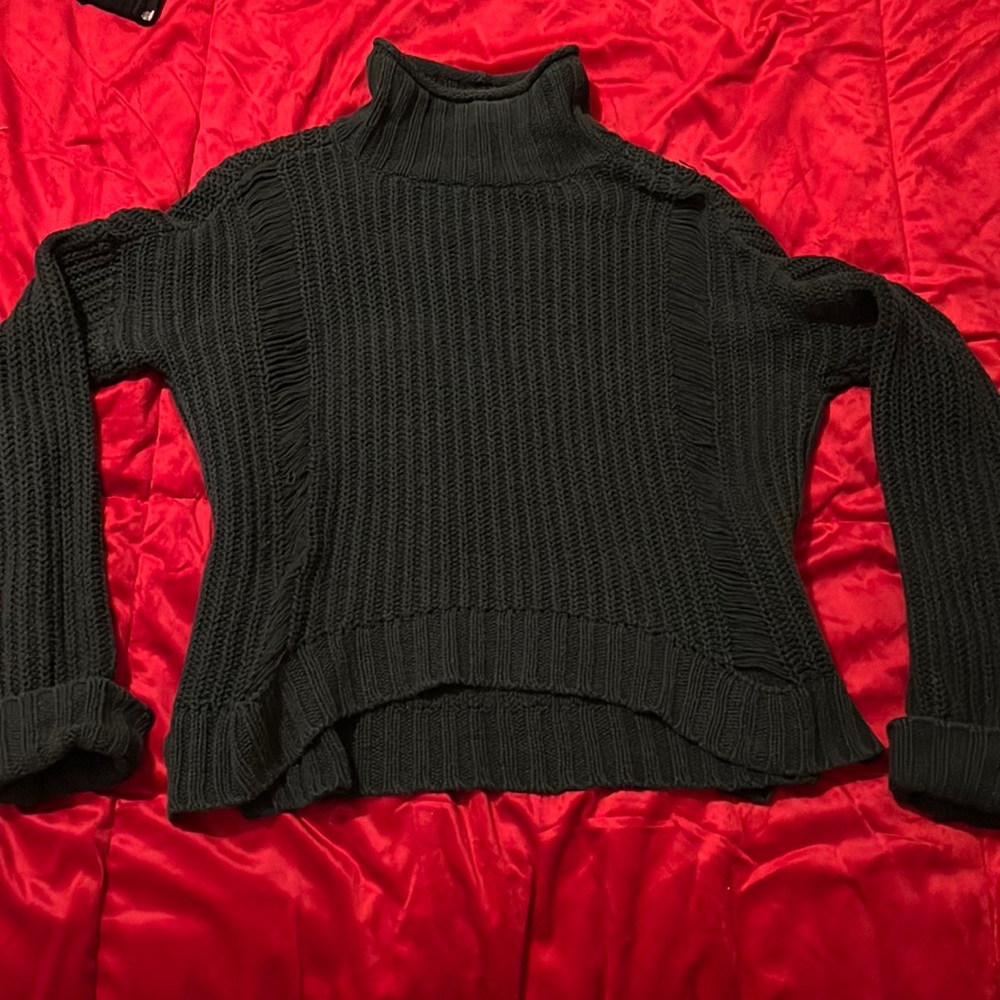 Express Turtleneck Sweater